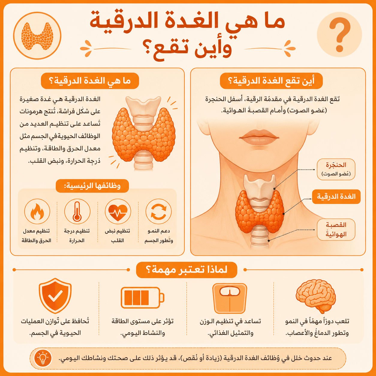 ما هي الغدة الدرقية وأين تقع؟