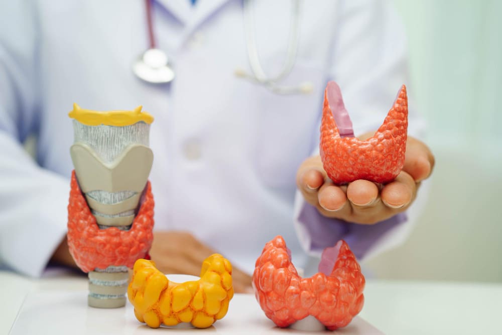 أسباب التنميل بعد عملية الغدة الدرقية