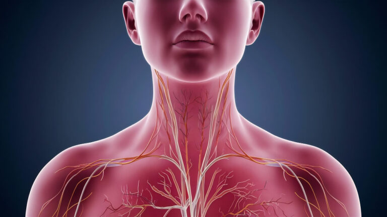الغدد الليمفاوية: خط الدفاع الأول في الجسم