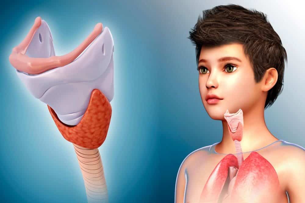 حجم عقيدات الغدة الدرقية