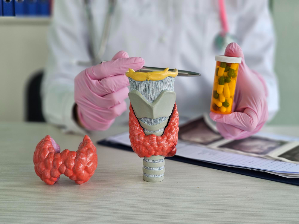 النسبة الطبيعية للغدة الدرقية لحدوث الحمل