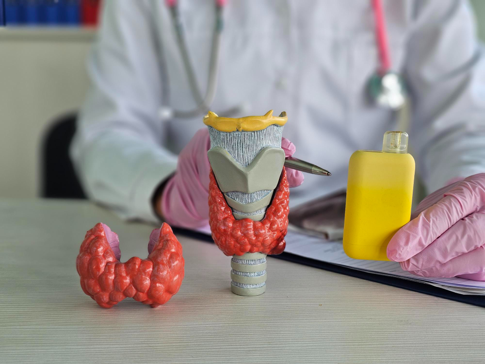 علاج الغدة الدرقية النشطة باليود المشع: خطوات العلاج، النتائج، وأهم النصائح