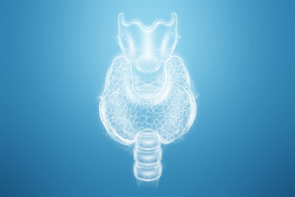 هل يمكن التعايش مع تضخم الغدة الدرقية؟ دليل شامل للمرضى