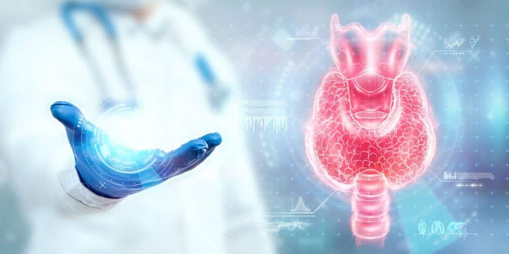 حجم عقيدات الغدة الدرقية